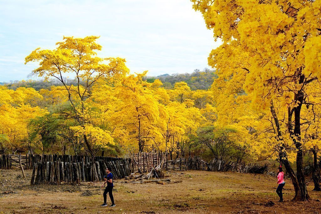 Turismo en el cantón zapotillo