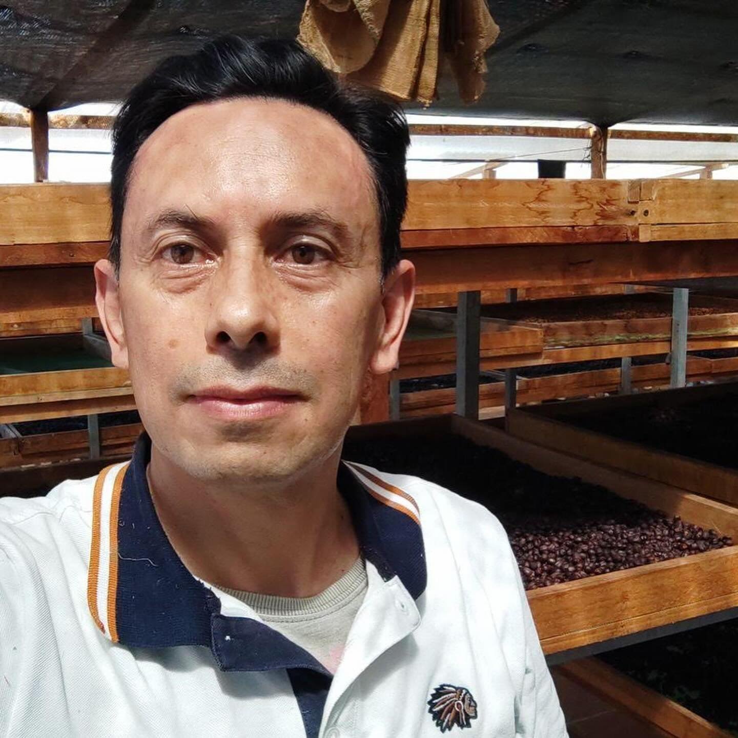 Productores de café trabajando