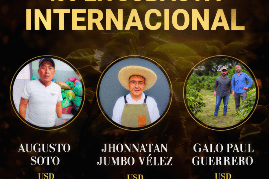 Cafe lojano que supero los 100 dolares en subasta internacional, con productores Augusto Soto, Jhonnatan Jumbo Velez y Galo Paul Guerrero