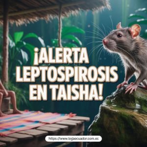 Ecuador: Alerta Sanitaria por Tosferina y Fiebre Amarilla